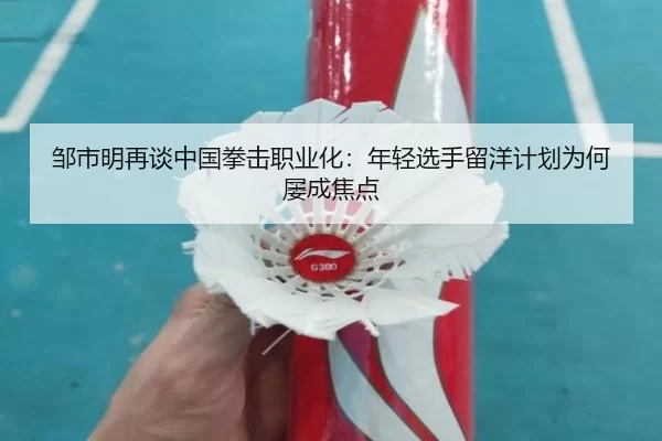 邹市明再谈中国拳击职业化：年轻选手留洋计划为何屡成焦点